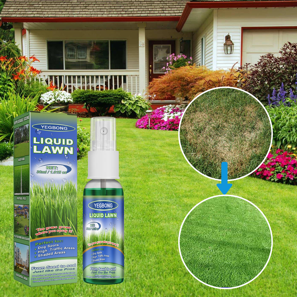 Green Lawn Spray, Backyard Outdoor Playground Football Field Grass Growth Concentrated Nutrient Solution Spray